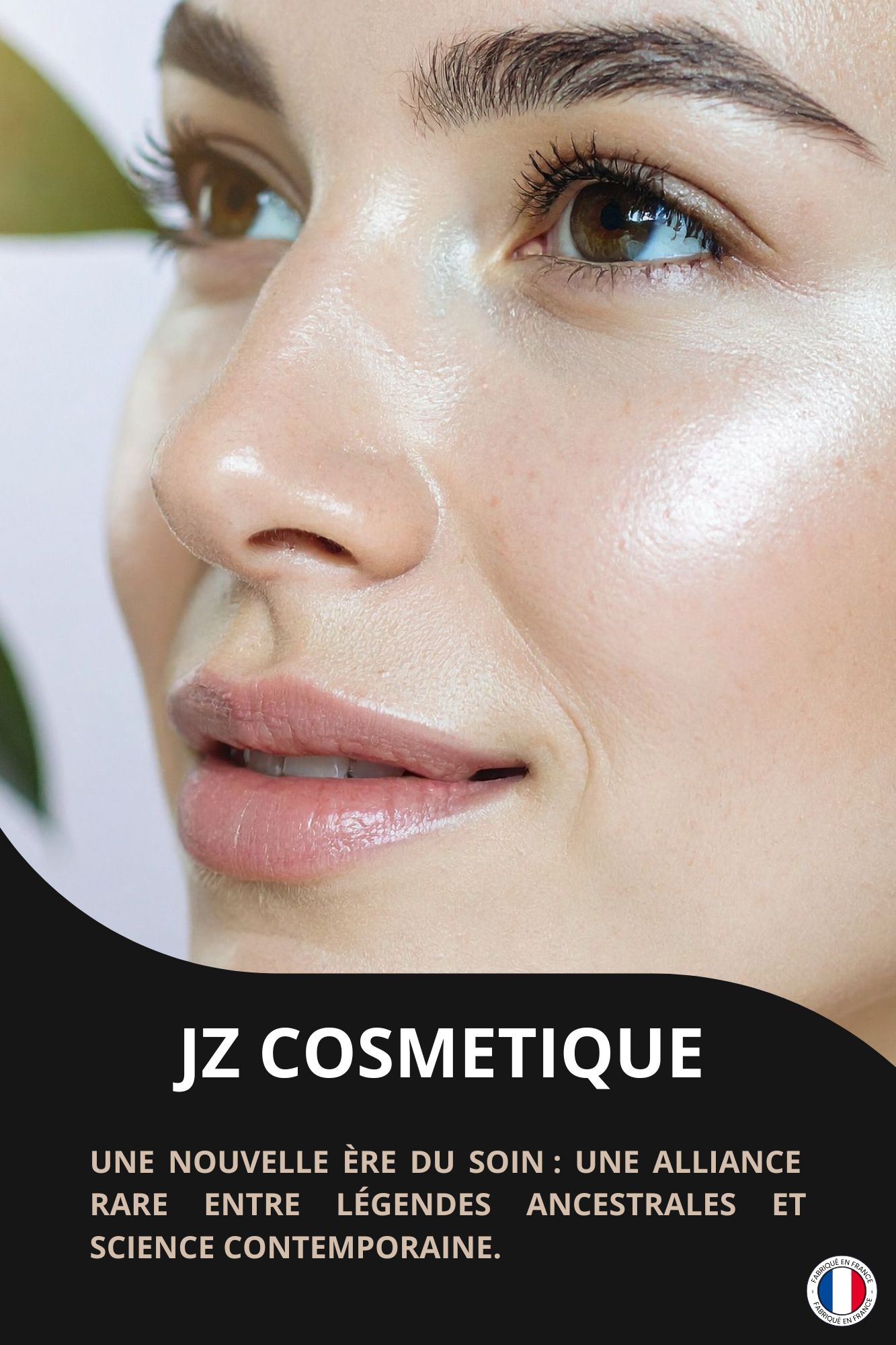 2ème photo d'illustration